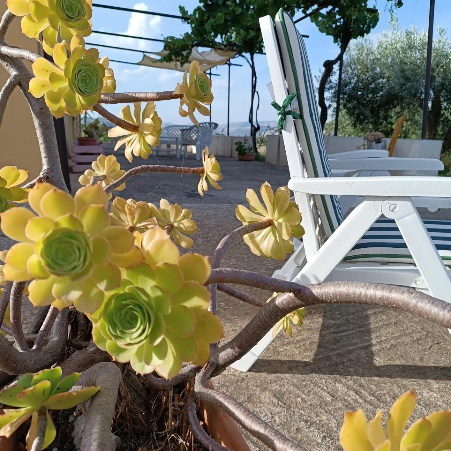 Casa Vacanze Sicilia Casteltermini Exteriér fotografie